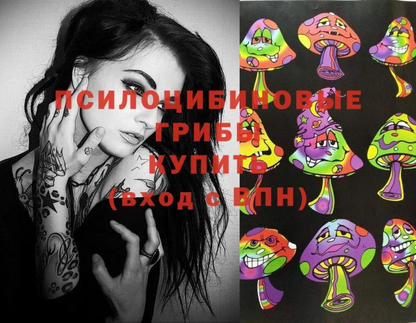 спайс Осинники