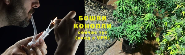 спайс Осинники