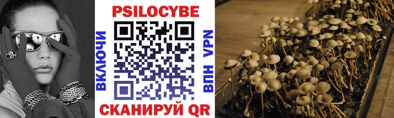 купить наркотики сайты  Энем  Галлюциногенные грибы Psilocybine cubensis 